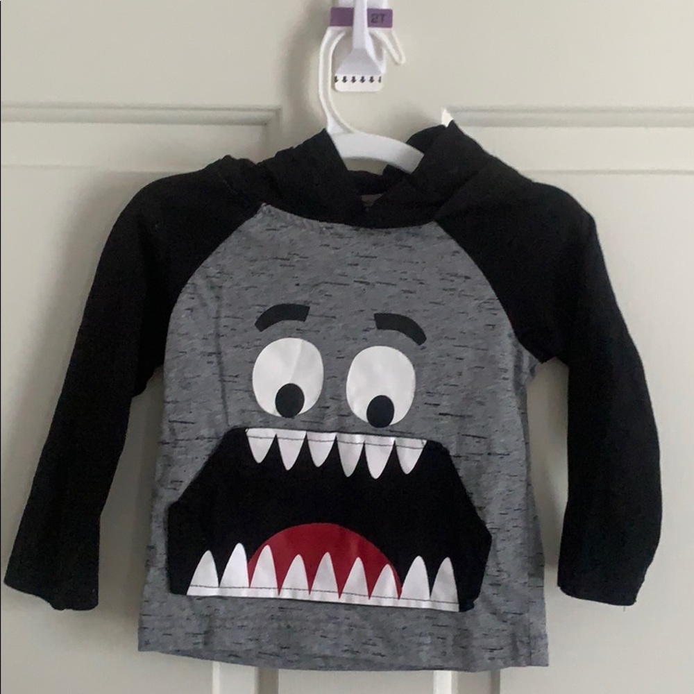 Toddler boys hoodie